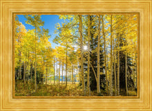 Load image into Gallery viewer, Autumn in the Rocky Mountains, Wasatch National Forest, Utah
