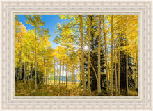 Load image into Gallery viewer, Autumn in the Rocky Mountains, Wasatch National Forest, Utah
