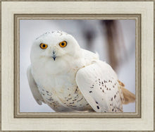 Load image into Gallery viewer, Snowy Owl, Haines, Alaska
