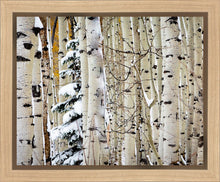 Load image into Gallery viewer, Christmas Around the Corner, Guardsman Pass, Park City, Utah
