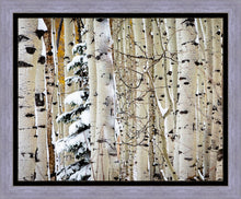 Load image into Gallery viewer, Christmas Around the Corner, Guardsman Pass, Park City, Utah
