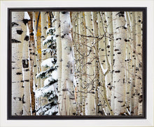 Load image into Gallery viewer, Christmas Around the Corner, Guardsman Pass, Park City, Utah
