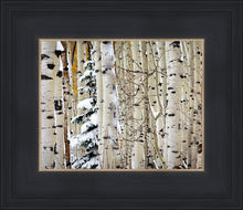 Load image into Gallery viewer, Christmas Around the Corner, Guardsman Pass, Park City, Utah

