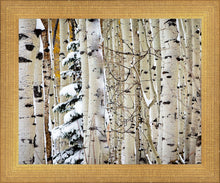 Load image into Gallery viewer, Christmas Around the Corner, Guardsman Pass, Park City, Utah

