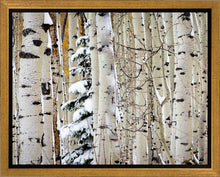 Load image into Gallery viewer, Christmas Around the Corner, Guardsman Pass, Park City, Utah
