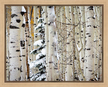 Load image into Gallery viewer, Christmas Around the Corner, Guardsman Pass, Park City, Utah
