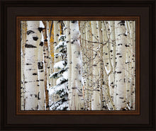 Load image into Gallery viewer, Christmas Around the Corner, Guardsman Pass, Park City, Utah
