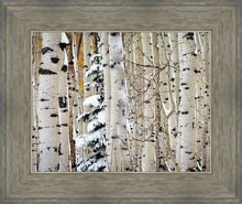 Load image into Gallery viewer, Christmas Around the Corner, Guardsman Pass, Park City, Utah
