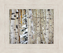 Load image into Gallery viewer, Christmas Around the Corner, Guardsman Pass, Park City, Utah
