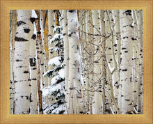 Load image into Gallery viewer, Christmas Around the Corner, Guardsman Pass, Park City, Utah

