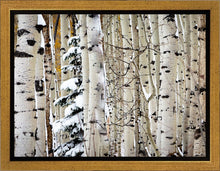Load image into Gallery viewer, Christmas Around the Corner, Guardsman Pass, Park City, Utah
