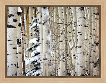 Load image into Gallery viewer, Christmas Around the Corner, Guardsman Pass, Park City, Utah

