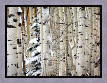 Load image into Gallery viewer, Christmas Around the Corner, Guardsman Pass, Park City, Utah

