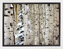 Load image into Gallery viewer, Christmas Around the Corner, Guardsman Pass, Park City, Utah
