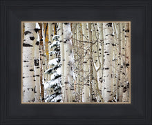 Load image into Gallery viewer, Christmas Around the Corner, Guardsman Pass, Park City, Utah

