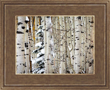Load image into Gallery viewer, Christmas Around the Corner, Guardsman Pass, Park City, Utah
