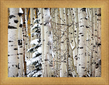 Load image into Gallery viewer, Christmas Around the Corner, Guardsman Pass, Park City, Utah
