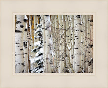 Load image into Gallery viewer, Christmas Around the Corner, Guardsman Pass, Park City, Utah

