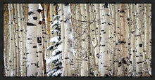 Load image into Gallery viewer, Christmas Around the Corner, Guardsman Pass, Park City, Utah
