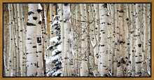 Load image into Gallery viewer, Christmas Around the Corner, Guardsman Pass, Park City, Utah
