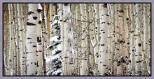 Load image into Gallery viewer, Christmas Around the Corner, Guardsman Pass, Park City, Utah
