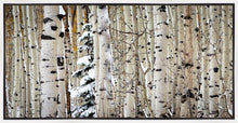 Load image into Gallery viewer, Christmas Around the Corner, Guardsman Pass, Park City, Utah
