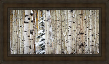 Load image into Gallery viewer, Christmas Around the Corner, Guardsman Pass, Park City, Utah
