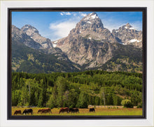 Load image into Gallery viewer, Panorama of Grand Teton Mountain Range, Wyoming
