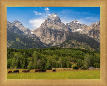 Load image into Gallery viewer, Panorama of Grand Teton Mountain Range, Wyoming
