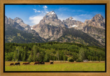 Load image into Gallery viewer, Panorama of Grand Teton Mountain Range, Wyoming
