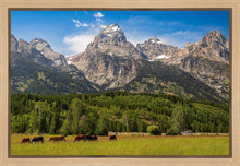 Load image into Gallery viewer, Panorama of Grand Teton Mountain Range, Wyoming
