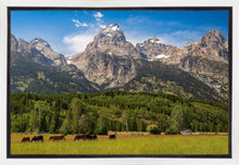 Load image into Gallery viewer, Panorama of Grand Teton Mountain Range, Wyoming
