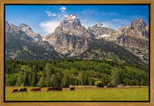 Load image into Gallery viewer, Panorama of Grand Teton Mountain Range, Wyoming
