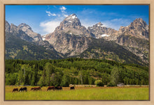 Load image into Gallery viewer, Panorama of Grand Teton Mountain Range, Wyoming

