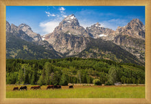 Load image into Gallery viewer, Panorama of Grand Teton Mountain Range, Wyoming
