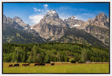 Load image into Gallery viewer, Panorama of Grand Teton Mountain Range, Wyoming
