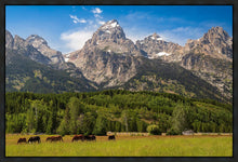 Load image into Gallery viewer, Panorama of Grand Teton Mountain Range, Wyoming
