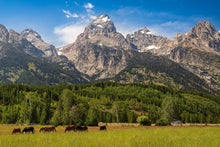 Load image into Gallery viewer, Panorama of Grand Teton Mountain Range, Wyoming
