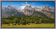 Load image into Gallery viewer, Panorama of Grand Teton Mountain Range, Wyoming
