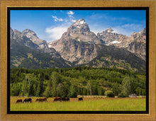 Load image into Gallery viewer, Panorama of Grand Teton Mountain Range, Wyoming
