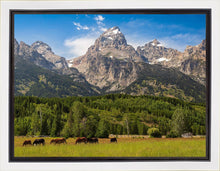 Load image into Gallery viewer, Panorama of Grand Teton Mountain Range, Wyoming
