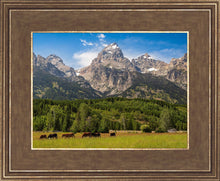 Load image into Gallery viewer, Panorama of Grand Teton Mountain Range, Wyoming
