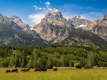 Load image into Gallery viewer, Panorama of Grand Teton Mountain Range, Wyoming
