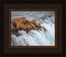 Load image into Gallery viewer, Grizzly Bears Fishing for Salmon at Katmai National Park Brooks Falls, Alaska
