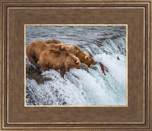 Load image into Gallery viewer, Grizzly Bears Fishing for Salmon at Katmai National Park Brooks Falls, Alaska
