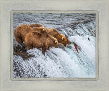 Load image into Gallery viewer, Grizzly Bears Fishing for Salmon at Katmai National Park Brooks Falls, Alaska
