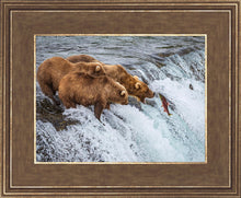 Load image into Gallery viewer, Grizzly Bears Fishing for Salmon at Katmai National Park Brooks Falls, Alaska
