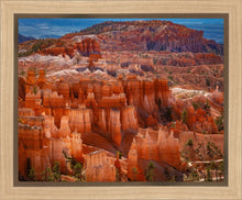 Load image into Gallery viewer, The Hoodoos of Bryce Canyon National Park, Utah
