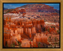 Load image into Gallery viewer, The Hoodoos of Bryce Canyon National Park, Utah
