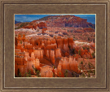 Load image into Gallery viewer, The Hoodoos of Bryce Canyon National Park, Utah
